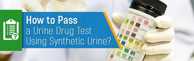 Synthetic Urine Shops Partlow VA 22534